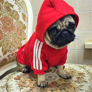 Dog Winter Hoodies