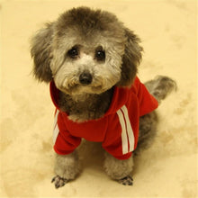 Load image into Gallery viewer, Dog Winter Hoodies